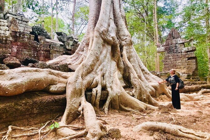 1-Day Angkor Wat Cycling Tour: Scenic Bike Adventure in Siem Reap - Who this tour is best for (and who should consider alternatives)