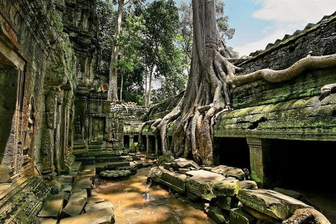 1 day special Tour: Angkor Wat,Bayon,Ta Prohm, Bantey srei and Beng Mealea - What this one-day Angkor combo really gives you