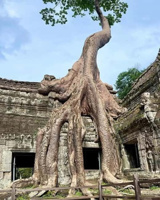 1-Day Trip to Angkor Wat with a Private or Shared Guide in Spanish - Key highlights to expect