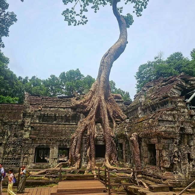1-Day Trip to Angkor Wat with a Private or Shared Guide in Spanish - Starting in Siem Reap: pickup and the ticket reality