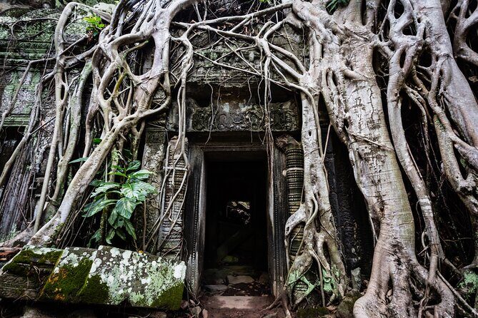 2-Day : Angkor Sunrise, Kompong Phluk Sunset & Banteay Srei Tour - Banteay Srei and the Extra Temple Stops After It