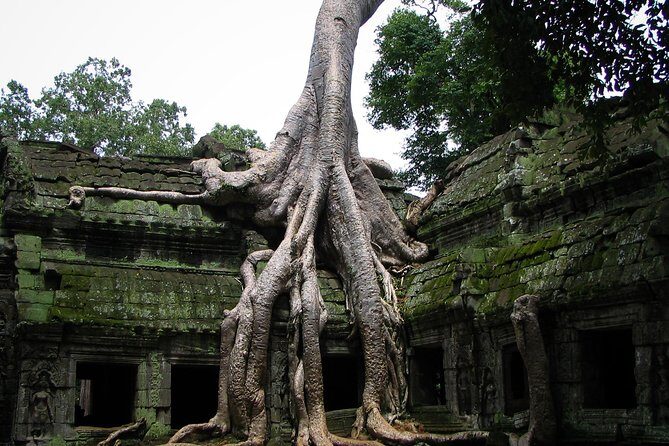 2 Days Angkor Wat Tranquility Tour - Getting Picked Up, Getting There, and Staying Sane