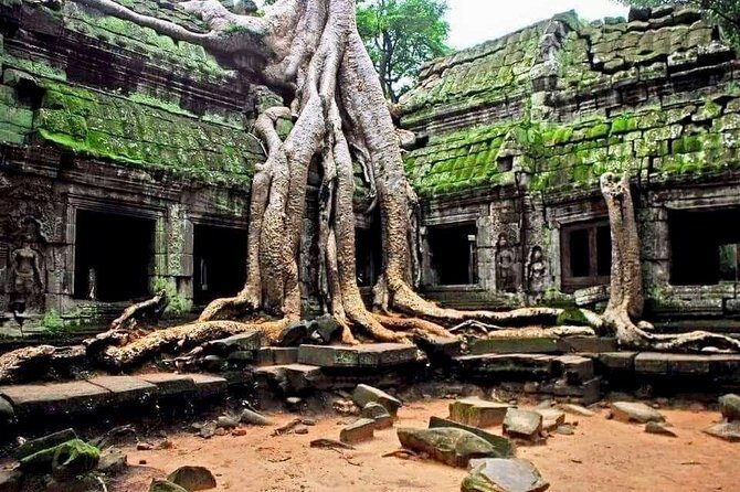 2days Explore Angkor wat Small Tour & Big Tour + Banteay Srei (Private tour) - Day 1 inside Angkor Thom: South Gate, Bayon faces, and royal terraces