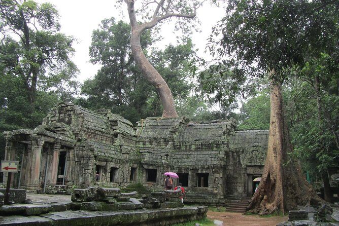 3-Day Angkor, Lake-side Village & Roluos Temples Tour - Day 1 in Angkor Thom, Bayon, and Ta Prohm: The Classic Route With Real Variety