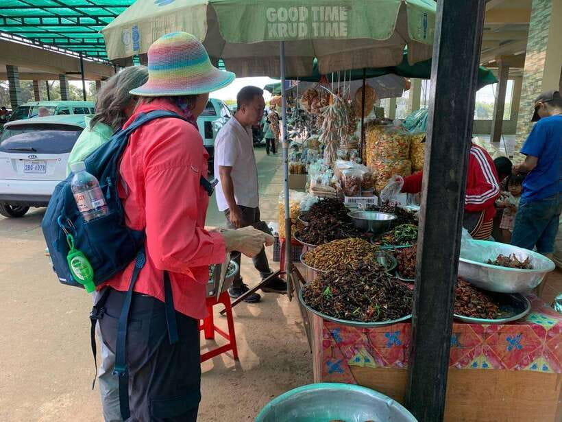An Unforgettable Road Trip from Phnom Penh to Siem Reap - Price and logistics: how $55 earns its keep