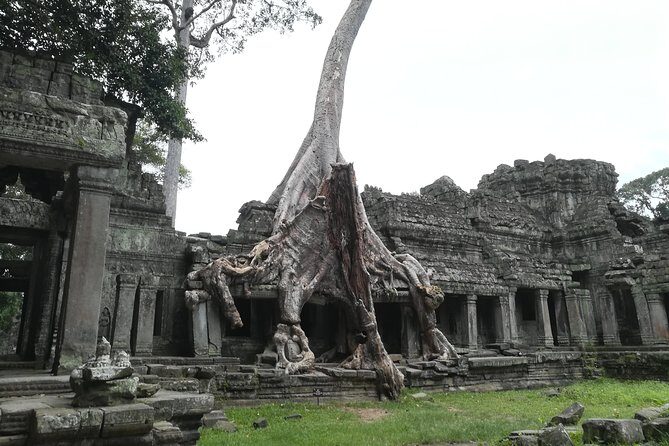 Angkor Grand Circuit Temples Tour - A Smart, Private Day Through Angkor Thom (Not Just a Temple Checklist)