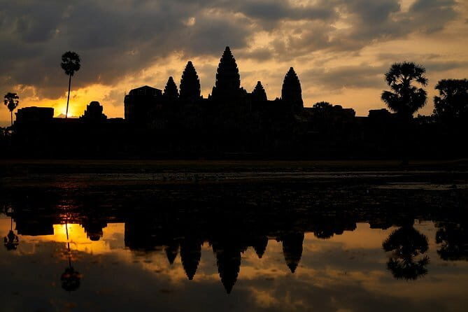 Angkor Temple Tour with Sunset - Small Group - Stop 4: Ta Prohm—where trees take over