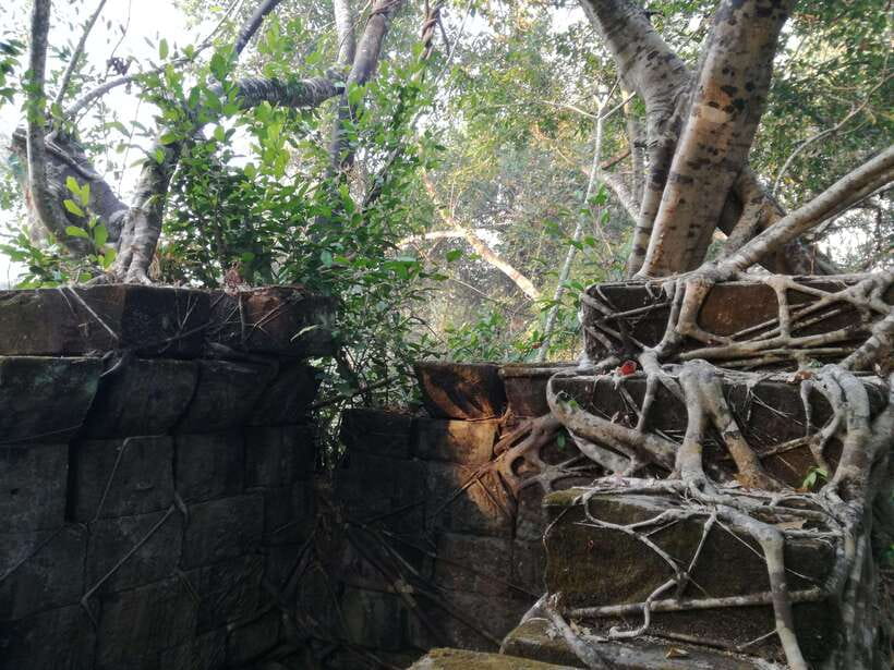 Angkor Temples Highlights Tour: 2 Days with Sunrise - Preah Khan and Neak Pean: carvings plus a calmer setting