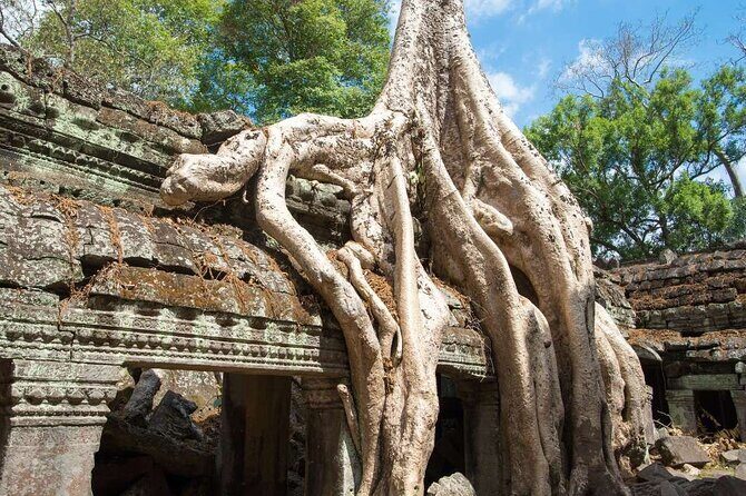 Angkor Thom Ta Prohm and Sunset in Angkor Wat Golden Hour Tour - Ta Prohm: roots, ruins, and the Tomb Raider-style framing