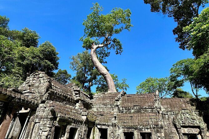 Angkor Wat 1-Day Tour by Private Car or Minivan - What you’ll actually do at Angkor Wat