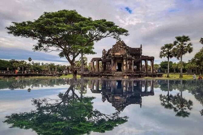Angkor wat and Small group temples Full day tours - Ta Prohm: when jungle and ruins negotiate space