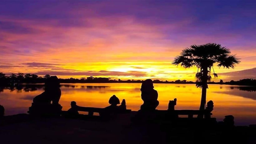 Angkor Wat Guided Sunrise Tour - Ta Prohm Tree Roots: Film Fame, Real Scale, and How to Enjoy It