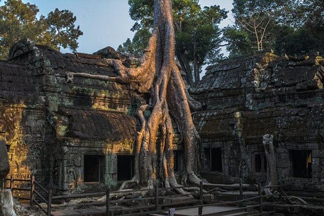 Angkor Wat highlight Tour From Sunrise -Small Group - Terrace of the Leper King: the carvings you’ll actually understand