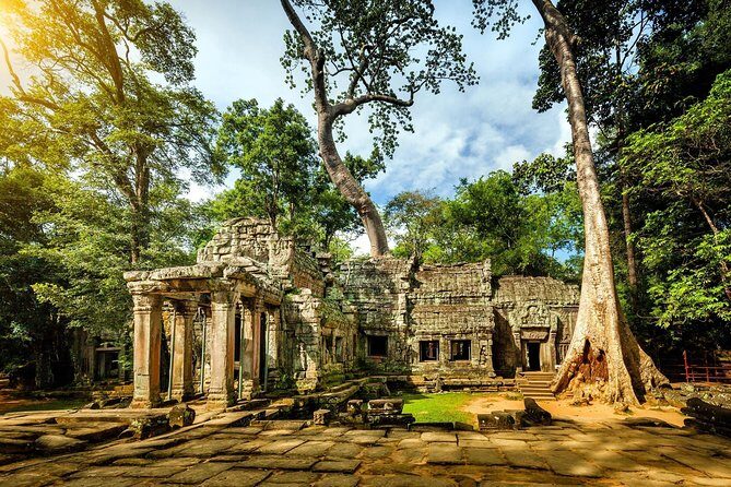 Angkor Wat Small-Group Exploration with Expert Guide - Stop 3: Ta Prohm—ruin, beauty, and time to look