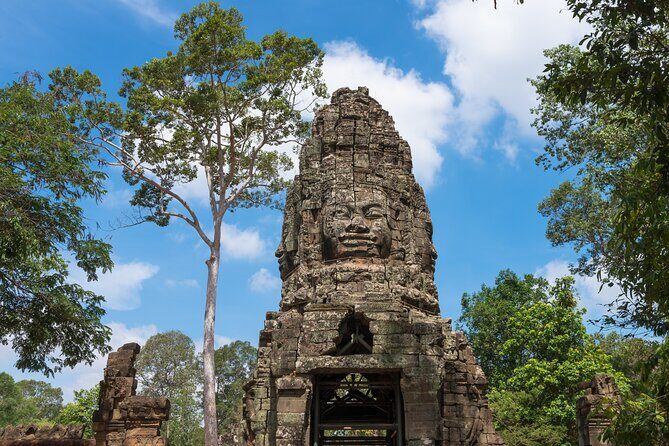Angkor Wat Small Group Tour Inclusive lunch - Ta Prohm’s jungle look: what to watch for beyond the photos