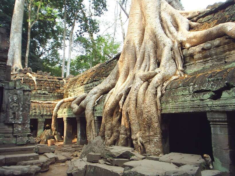 Angkor Wat: Small-Group Tour with Balloon Ride and Lunch - Angkor Thom’s South Gate and Bayon faces