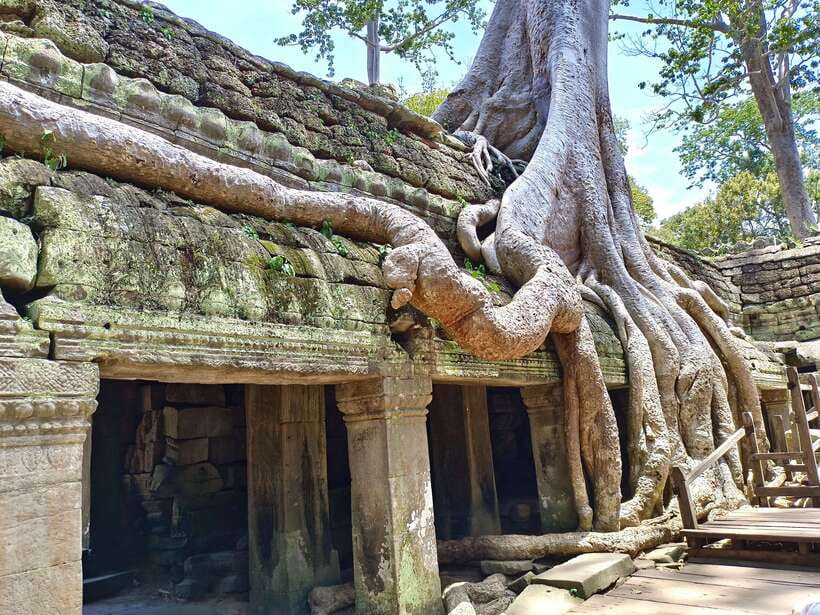 Angkor Wat: Sunrise 2.5 Days with Tonle Sap Lake Tour - Should you book this tour?