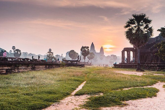 Angkor Wat Sunrise Private Tour by Tuk Tuk - Stop 4: Ta Prohm—ruin that actually feels alive