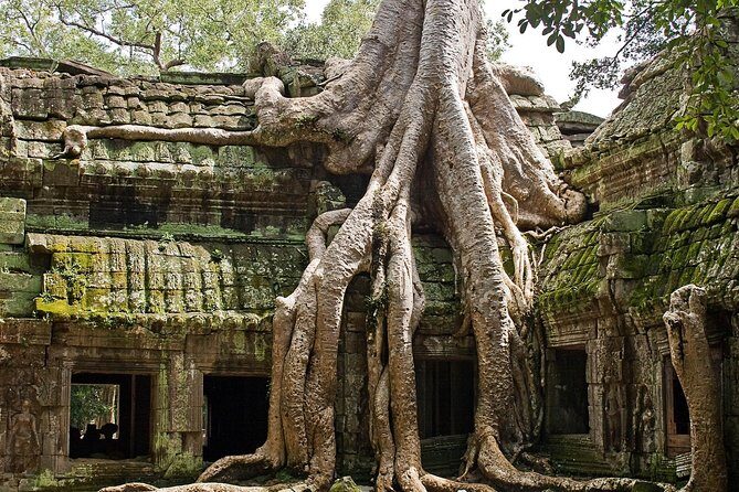 Angkor Wat Sunrise & Small Circuit Tour - Sunrise at Angkor Wat: getting the best towers-in-the-dark
