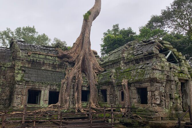 Angkor Wat Sunset TUK TUK Tour - Your day, stop by stop: Ta Prohm, Banteay Kdei, Ta Keo