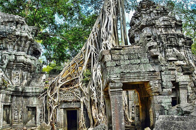 Angkor Wat Temples & Kulen Elephant Forest Day Tour - Lunch between temples and elephant time