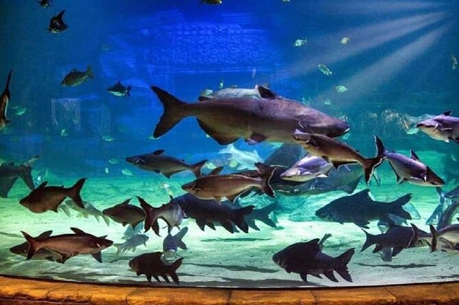 Angkor Wildlife & Aquarium Halfday tour - Families and kids: why this is a strong weekend escape