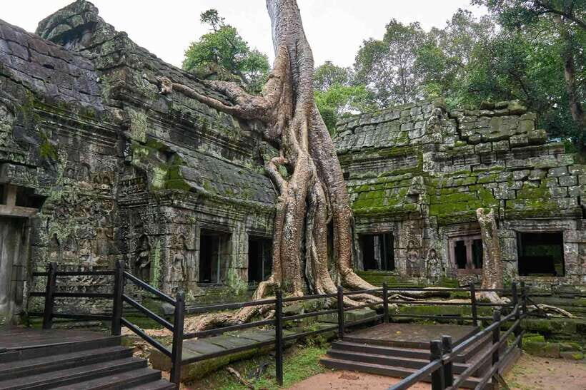 Angkor Zipline and Temple Tour with Sunset - Key things you should know before you go