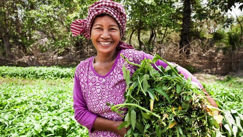 Back to Basics: Village Life Tour from Siem Reap - Entering village life with the right kind of context