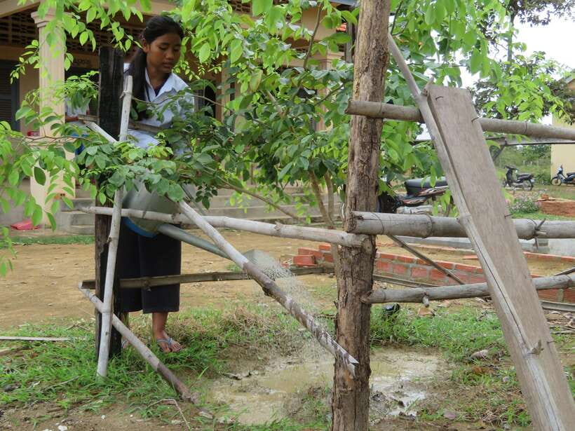 Back to Basics: Village Life Tour from Siem Reap - Water, firewood, and the real rhythm of daily work