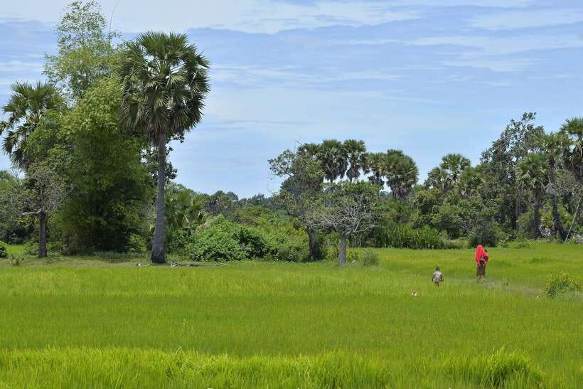 Back to Basics: Village Life Tour from Siem Reap - Pickup, tuk tuk rides, and a 4-hour pace that stays manageable