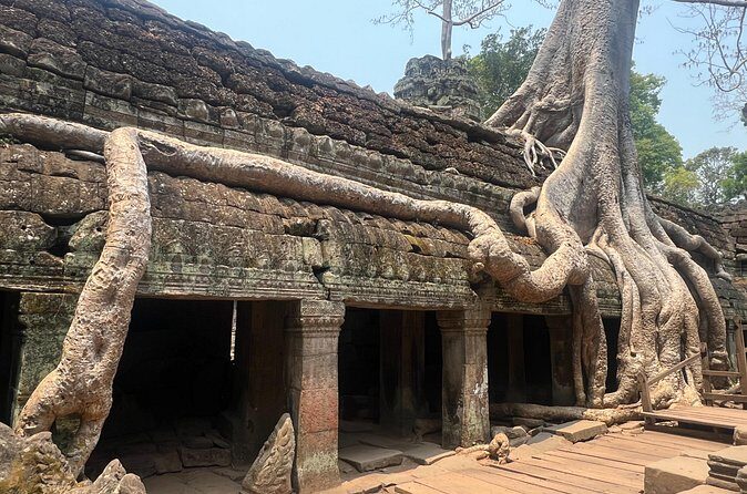 Bangkok to Angkor Wat 2 Days 1 Night by Flight - Ta Prohm: the Tomb Raider style temple with real shade and roots