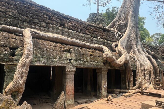 Bangkok to Angkor Wat 2 Days 1 Night by Flight - Day 1: Beng Mealea without the classic crowds