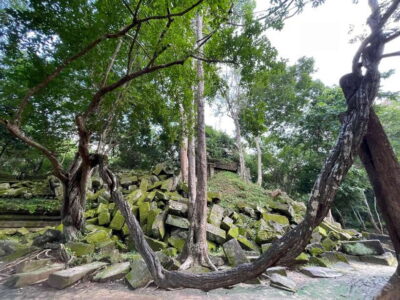 Banteay Srei, Kulen Waterfall & Beng Mealea Small-Group Tour - Banteay Srei: red-sandstone carvings you’ll actually notice