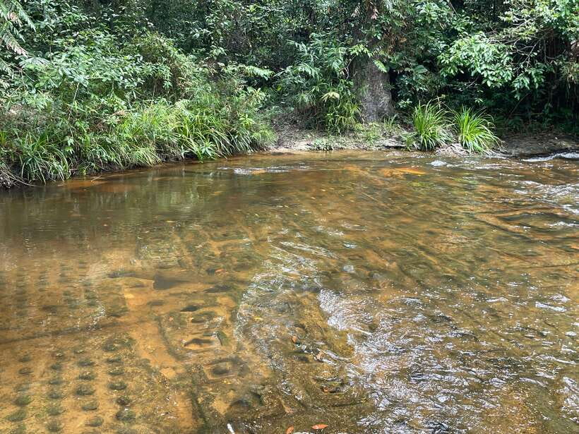 Banteay Srei, Kulen Waterfall & Beng Mealea Small-Group Tour - Value and logistics: where your $51 really goes