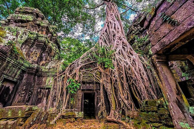 Cambodia 7 Days Tour from Siem Reap to Battambang and Phnom Penh - Battambang by norry bamboo train: fun that stays practical