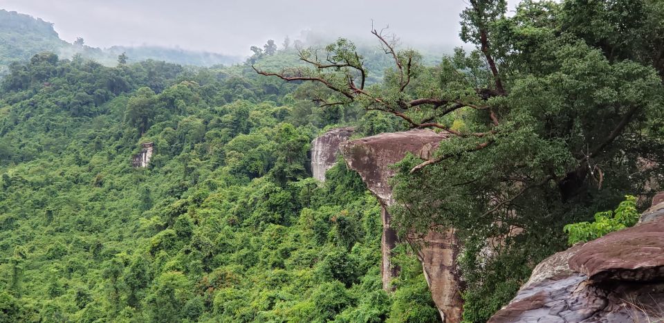 Cambodia Elephants Haft Day Experiences from Siem Reap - Should You Book Cambodia Elephants Half Day Experiences from Siem Reap?