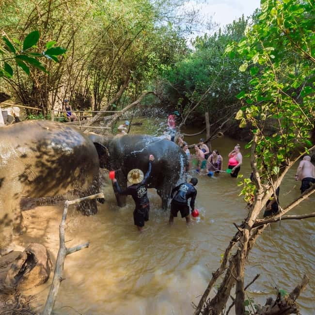Cambodia Elephants Haft Day Experiences from Siem Reap - How the Farm Stop + Elephant Schedule Adds Up to Value