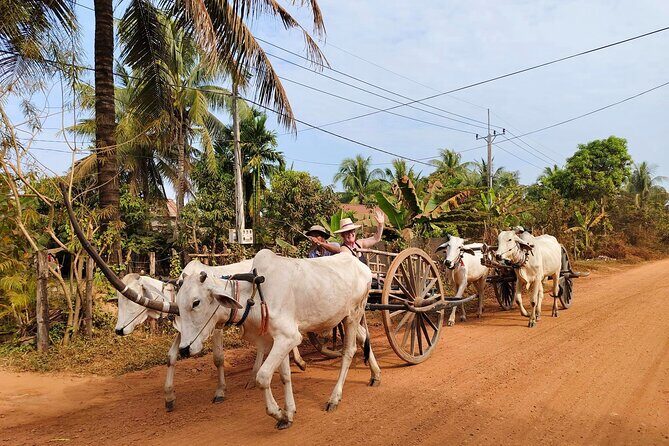 Cambodian Cooking Class and Oxcart Ride with Local Village Tour - The Private Ox-Cart Ride: Quiet Rice Fields and Village Paths