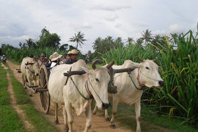 Cambodian Cooking Class and Oxcart Ride with Local Village Tour - Cooking Class at a Khmer Family Kitchen: Where You Actually Learn