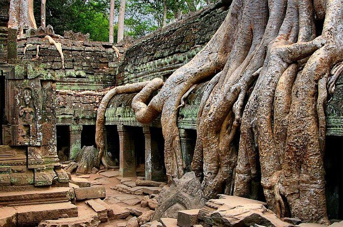 Explore Angkor Wat Temple , Bayon Temple and Jungle Temple Ta-Prohm - Ta Prohm Under the Fig Trees: Ruins Left in Place
