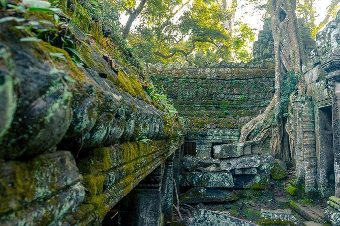 Explore Angkor Wat Temple , Bayon Temple and Jungle Temple Ta-Prohm - Bayon Temple and Angkor Thom South Gate Without the Rush