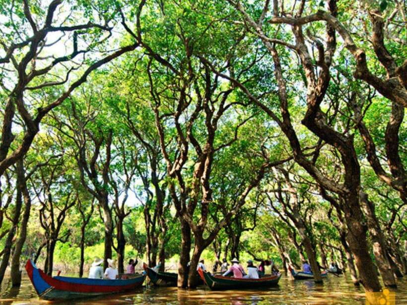 Floating Village-Mangroves Forest Tonle Sap Lake Boat Tour - Kampong Phluk floating village: stilt homes, daily work, and water-level reality