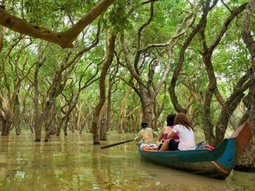 Floating Village-Mangroves Forest Tonle Sap Lake Boat Tour - Ro Lus Market: a practical first taste of local life