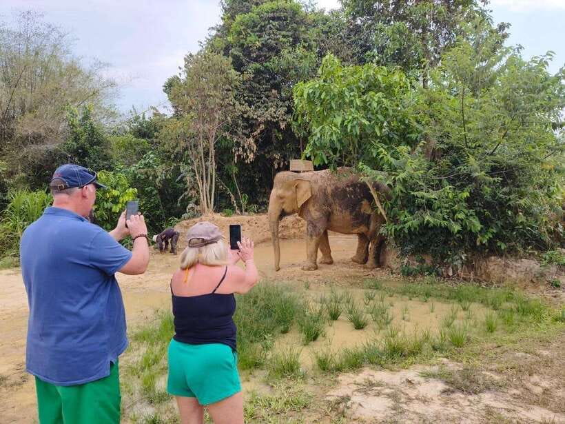From Siem Reap: Elephant Sanctuary Experience with Transfers - Key highlights to know before you go