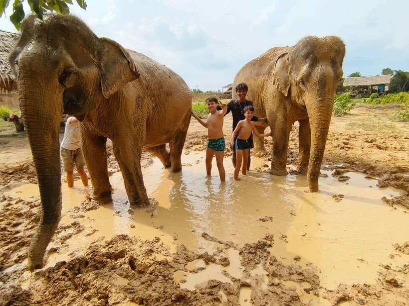 From Siem Reap: Elephant Sanctuary Experience with Transfers - From Siem Reap hotel to the sanctuary: that first hour matters