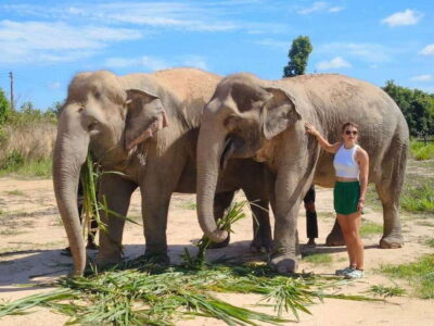 From Siem Reap: Elephant Sanctuary Experience with Transfers - The safety briefing and the guide who keeps things respectful