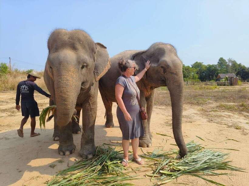 From Siem Reap: Elephant Sanctuary Experience with Transfers - A short trek through the Cambodia forests: nature time, not a theme park