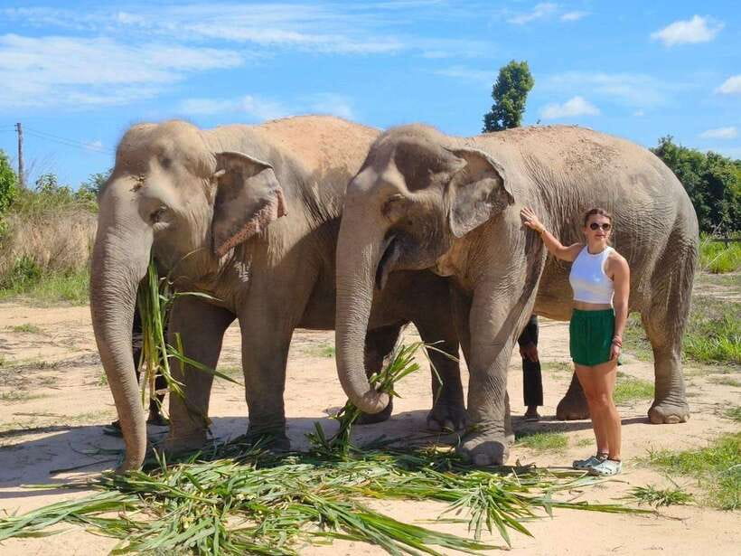 From Siem Reap: Elephant Sanctuary Experience with Transfers - The safety briefing and the guide who keeps things respectful