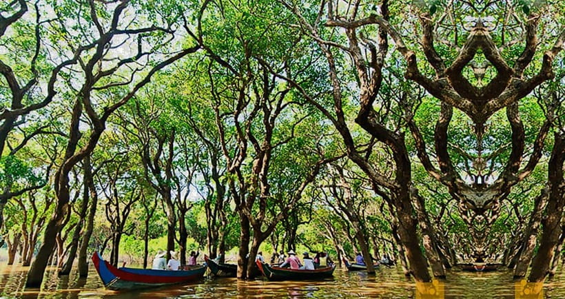 From Siem Reap: Floating Village Tour by Boat - What to Bring (and What to Skip) for a Smooth Boat Day