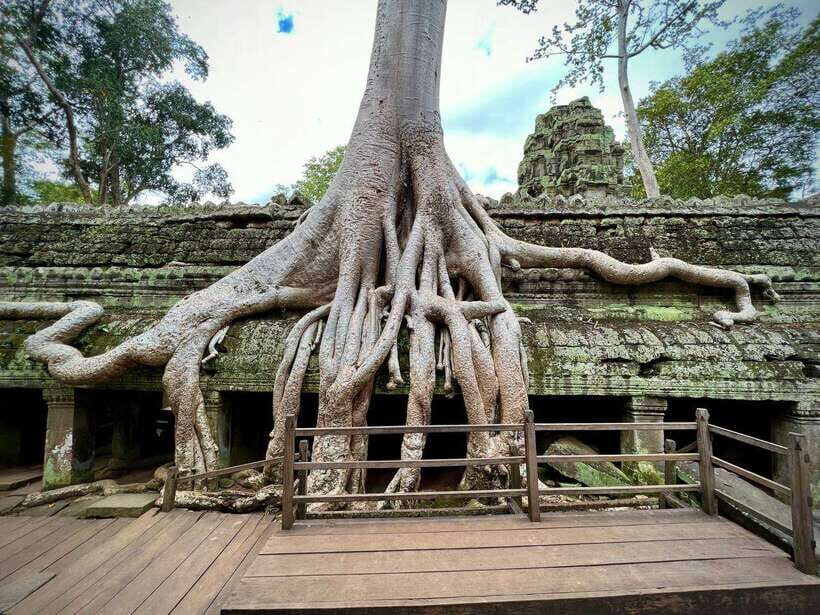 Full Day Private of Angkor Wat Tour with Tuk Tuk - Ta Prohm: Giant Tree Roots and the Most Photographed Vibe